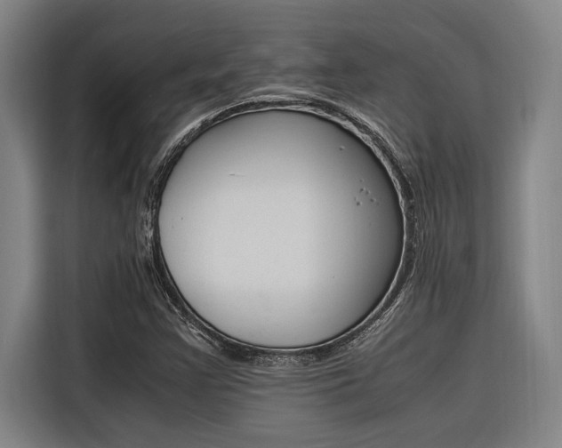 X0000116581355200912101300