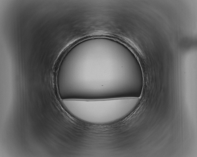 X0000116581356200912101300