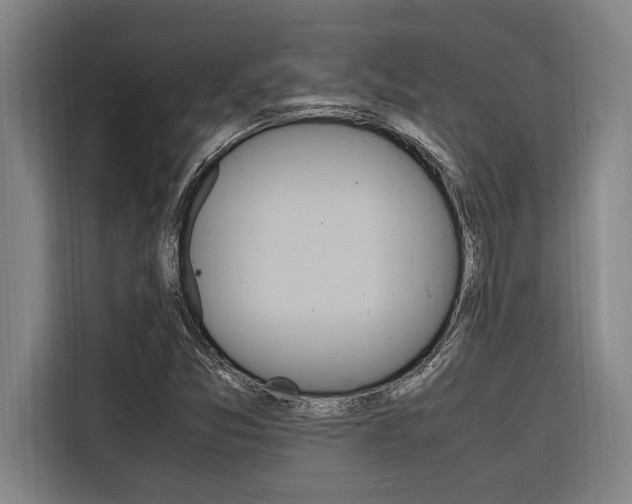 X0000116581357200912101300