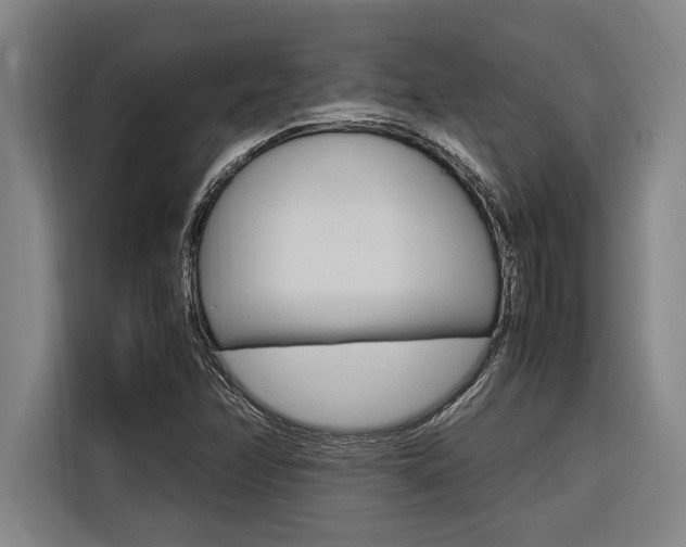 X0000116581358200912101300