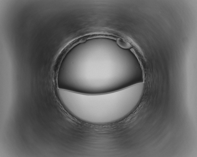 X0000116581360200912101300