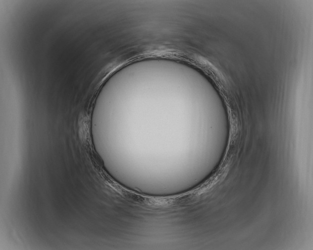 X0000116581361200912101300