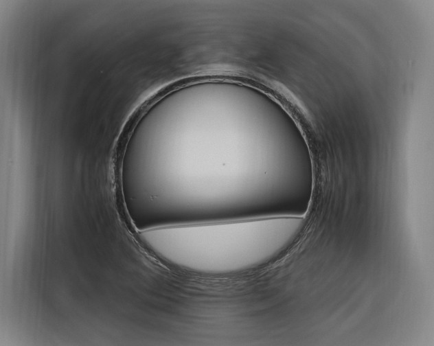 X0000116581364200912101300
