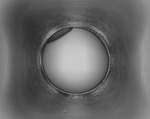 X0000116581365200912101300
