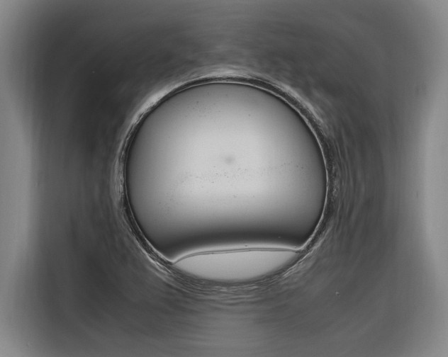 X0000116581367200912101300