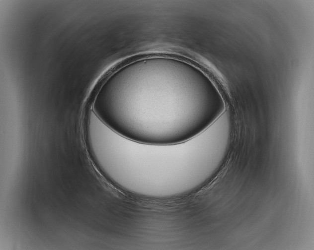 X0000116581368200912101300