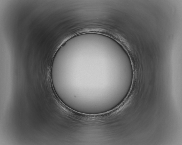 X0000116581369200912101300