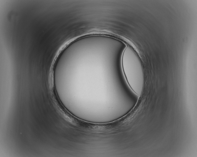 X0000116581371200912101300