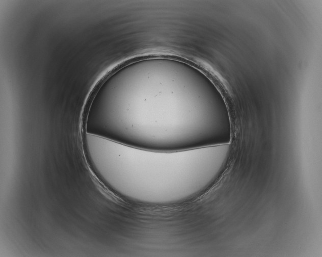 X0000116581372200912101300