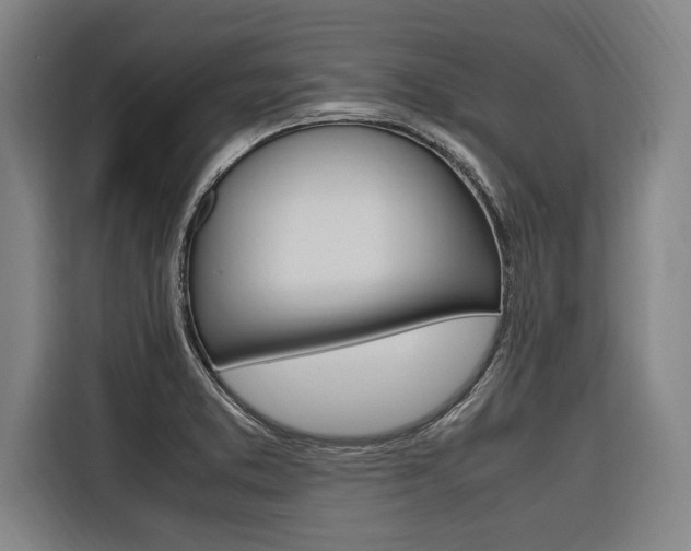 X0000116581373200912101300
