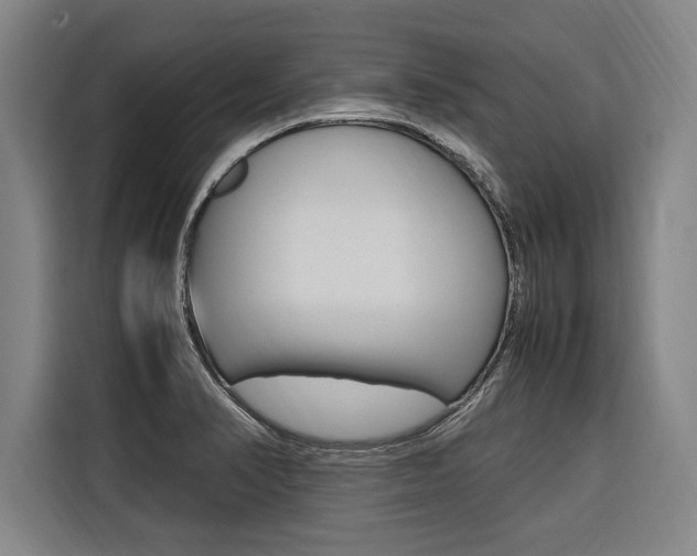 X0000116581374200912101300
