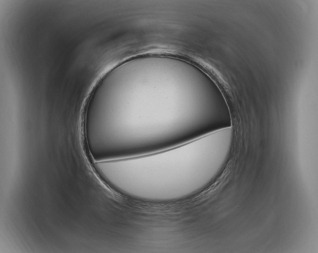 X0000116581375200912101300
