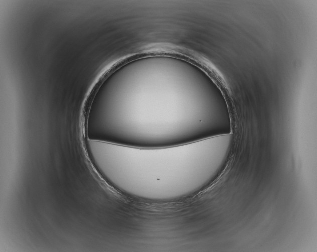 X0000116581376200912101300