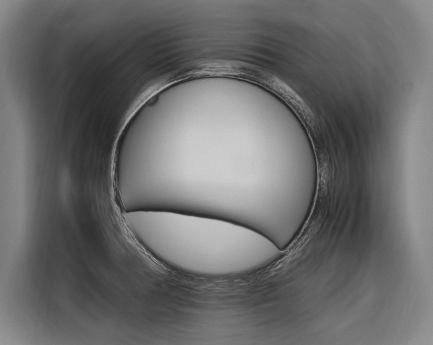 X0000116581378200912101300