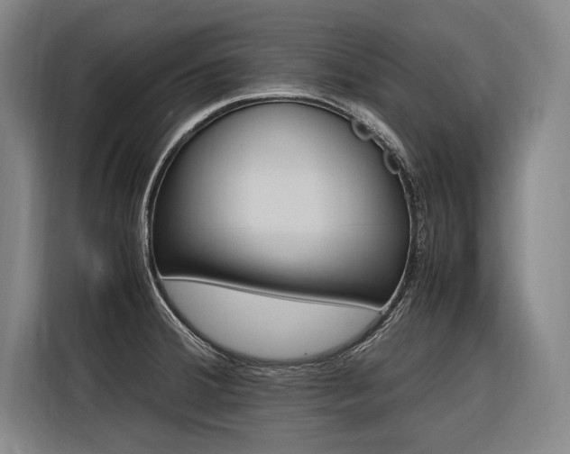 X0000116581380200912101300