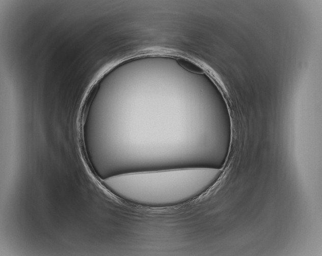 X0000116581381200912101300