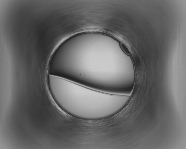 X0000116581383200912101300