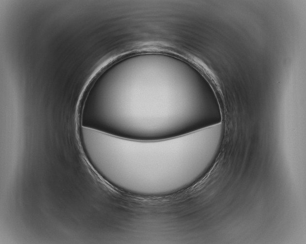 X0000116581384200912101300