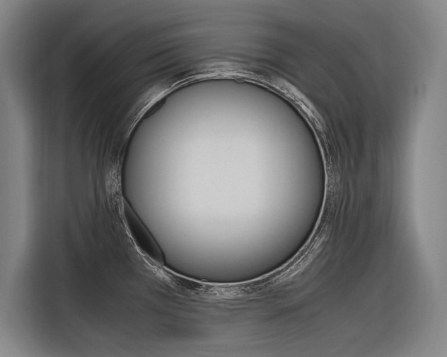 X0000116581385200912101300