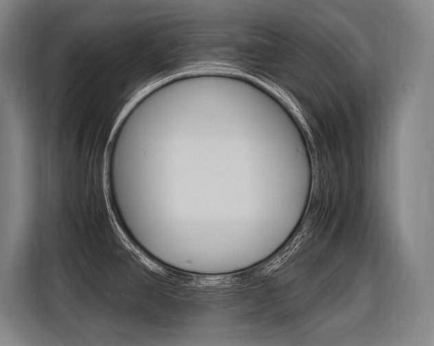 X0000116581390200912101300