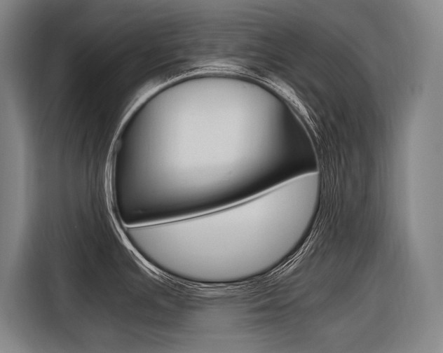 X0000116581391200912101300