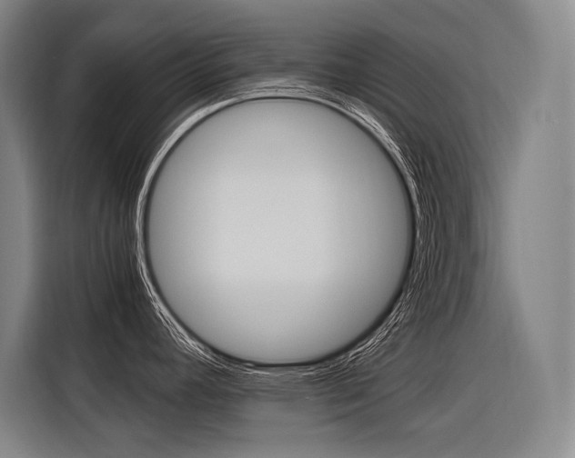 X0000116581392200912101300