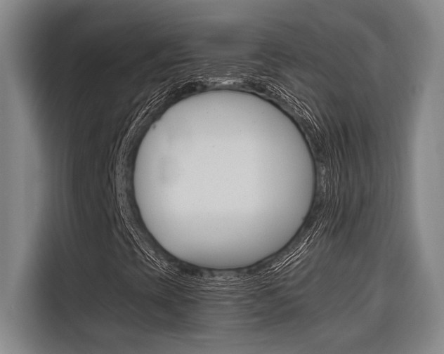 X0000116581393200912101259