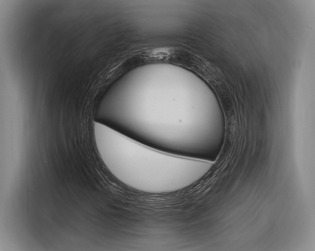 X0000116581394200912101259