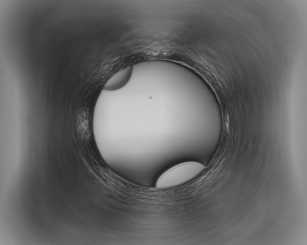 X0000116581396200912101259