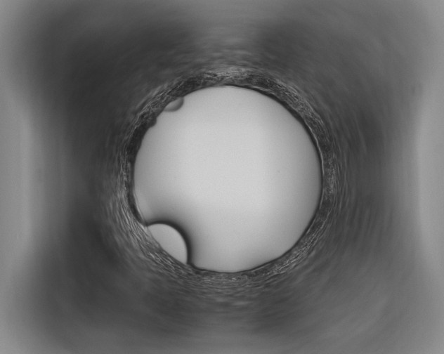 X0000116581397200912101259