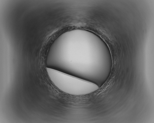 X0000116581398200912101259