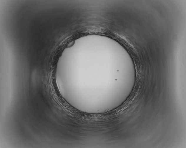 X0000116581399200912101259