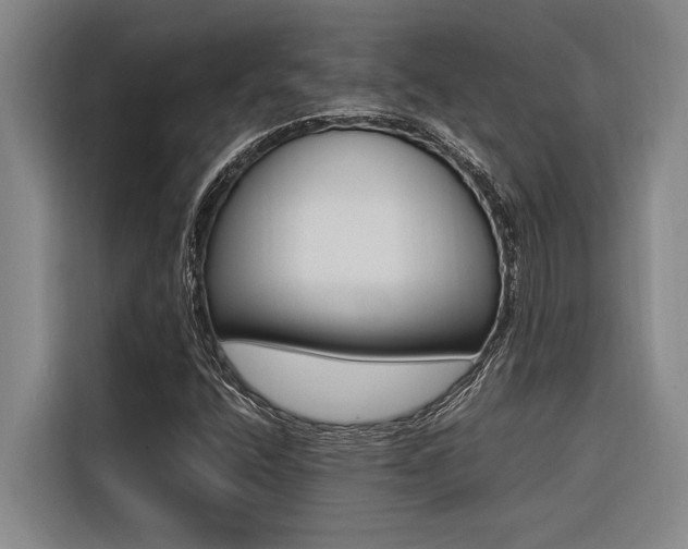 X0000116581400200912101259