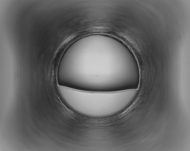X0000116581402200912101259