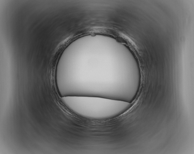 X0000116581403200912101259