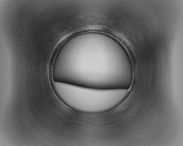 X0000116581404200912101259