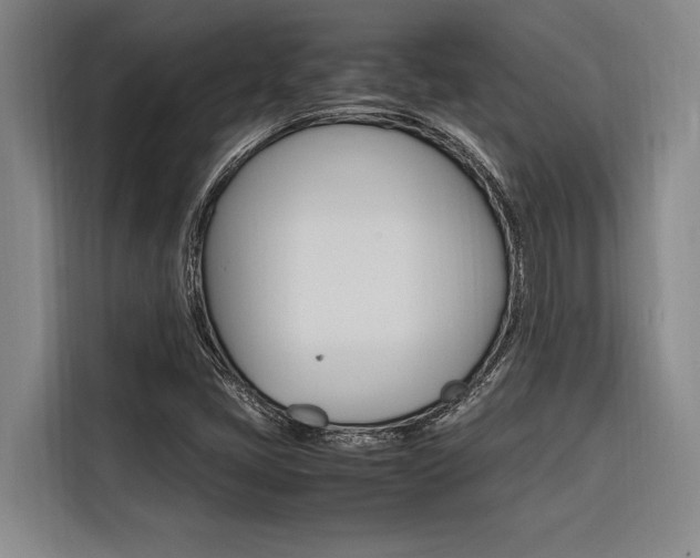 X0000116581405200912101259