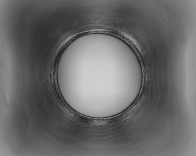 X0000116581407200912101259