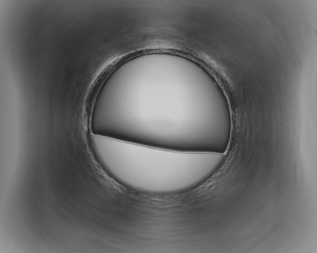 X0000116581408200912101259