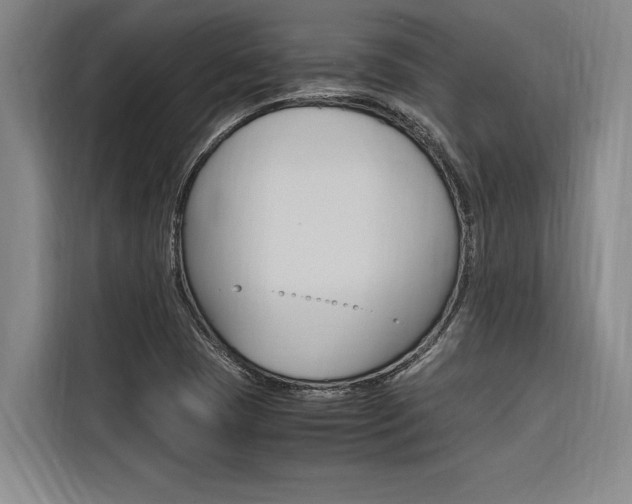 X0000116581409200912101259