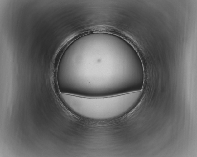 X0000116581410200912101259