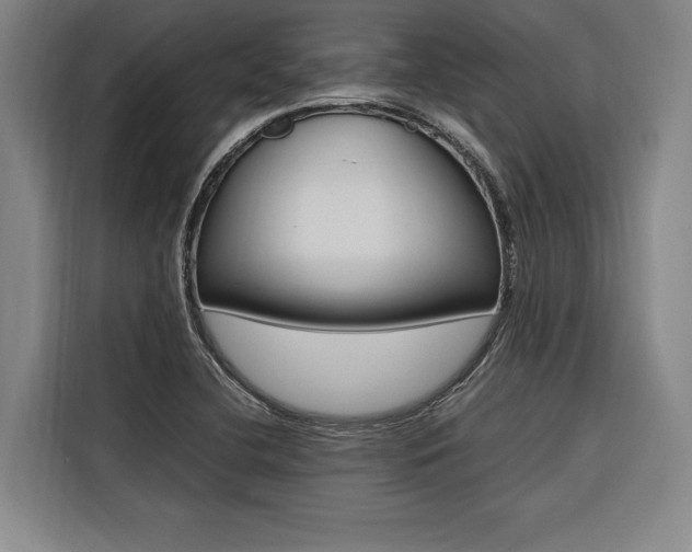 X0000116581412200912101259