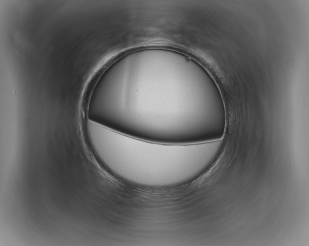 X0000116581414200912101259