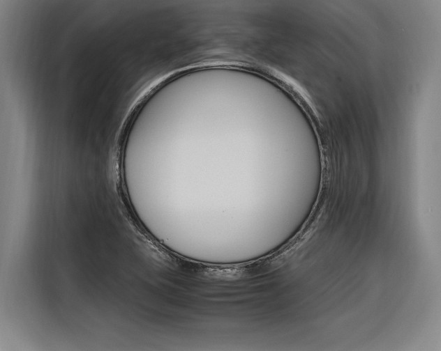X0000116581415200912101259