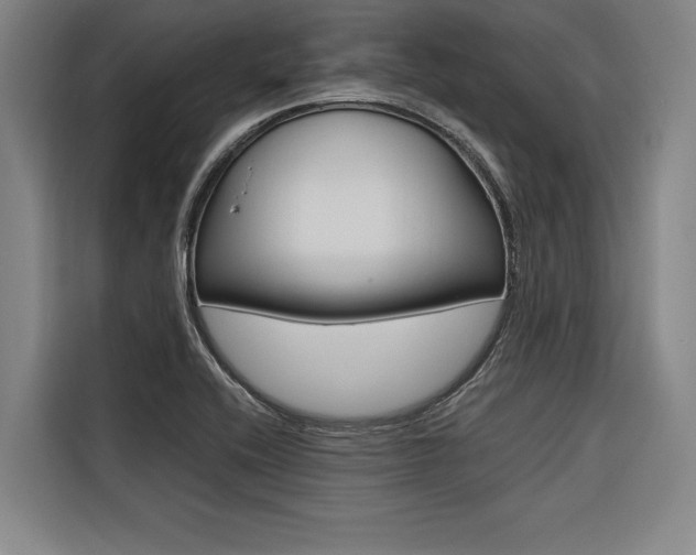 X0000116581416200912101259