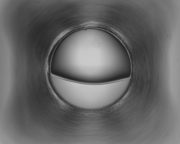 X0000116581418200912101259