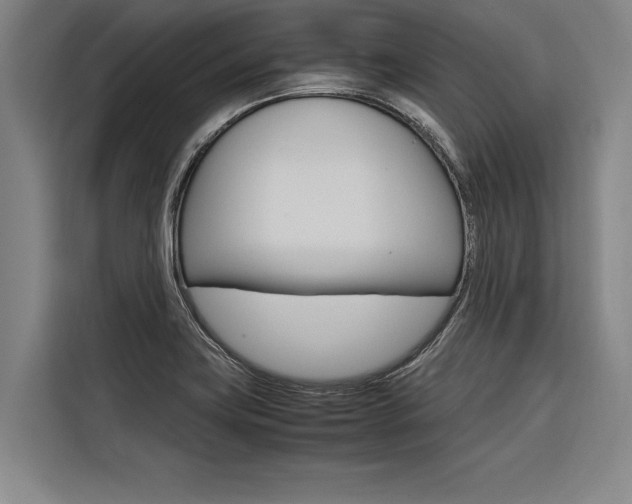 X0000116581419200912101259