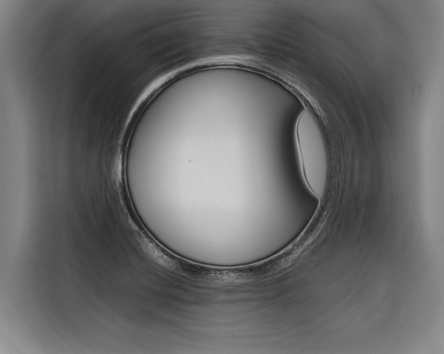 X0000116581420200912101259