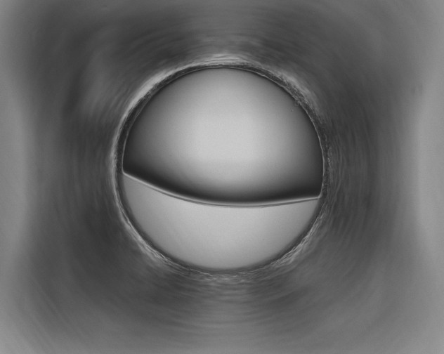 X0000116581422200912101259