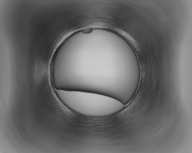 X0000116581423200912101259